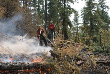 La foudre provoque de nouveaux incendies de forêt en Colombie-Britannique