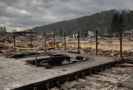 Les résidents de Jasper pourront constater les dégâts en autobus