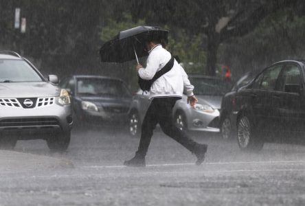 Les restes de la tempête Debby feront tomber des pluies abondantes sur le Québec