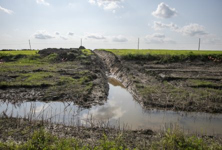 Travaux illégaux sur une terre agricole : la famille Bessette a l’origine de la fermeture du canal