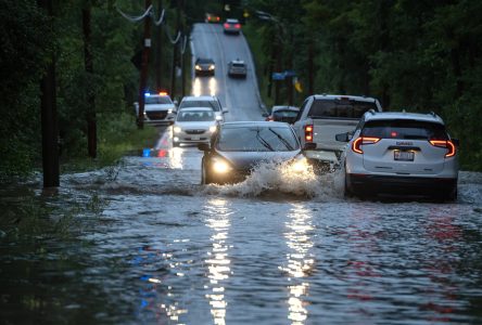 Des chaussées perméables pour des villes plus résilientes aux inondations