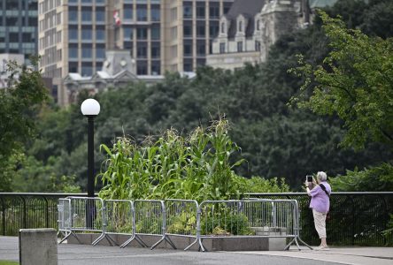 La CCN demande à la population de ne pas bouffer ses légumes