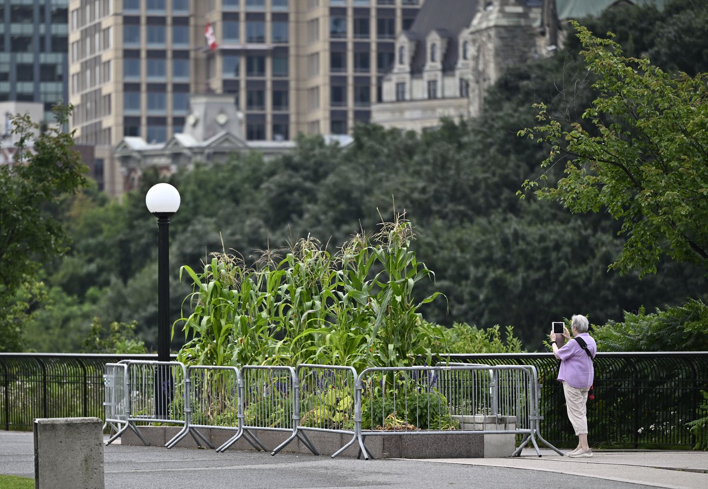 La CCN demande à la population de ne pas bouffer ses légumes