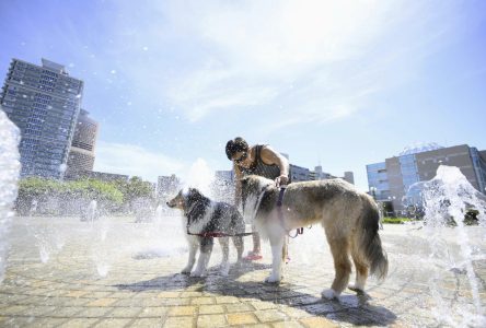 La chaleur a tué plus de 120 personnes à Tokyo en juillet