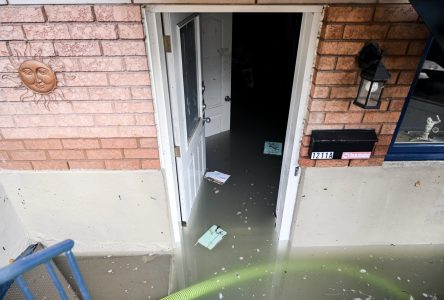 Vestiges de Debby au Québec en août: plus coûteux que le verglas de 1998