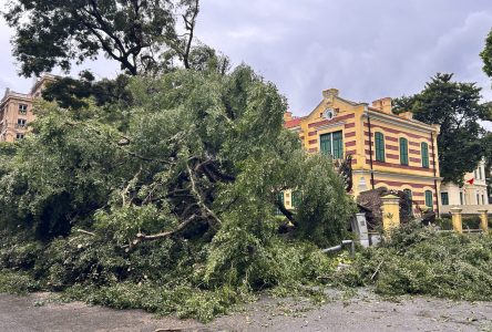 Le typhon Yagi fait 14 morts et 176 blessés au Vietnam, mais le pire est passé