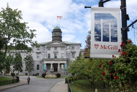 Les professeurs de droit de McGill suspendent leur grève; les cours reprendront