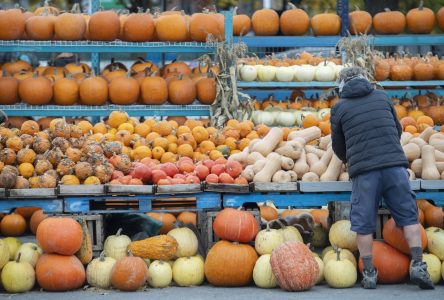 L’automne devrait être chaud et sec, mais gare aux vestiges de tempêtes!