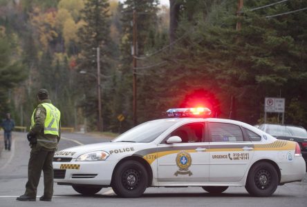 Motocycliste tué dans une collision avec un orignal à Saint-Modeste, dans le B-S-L