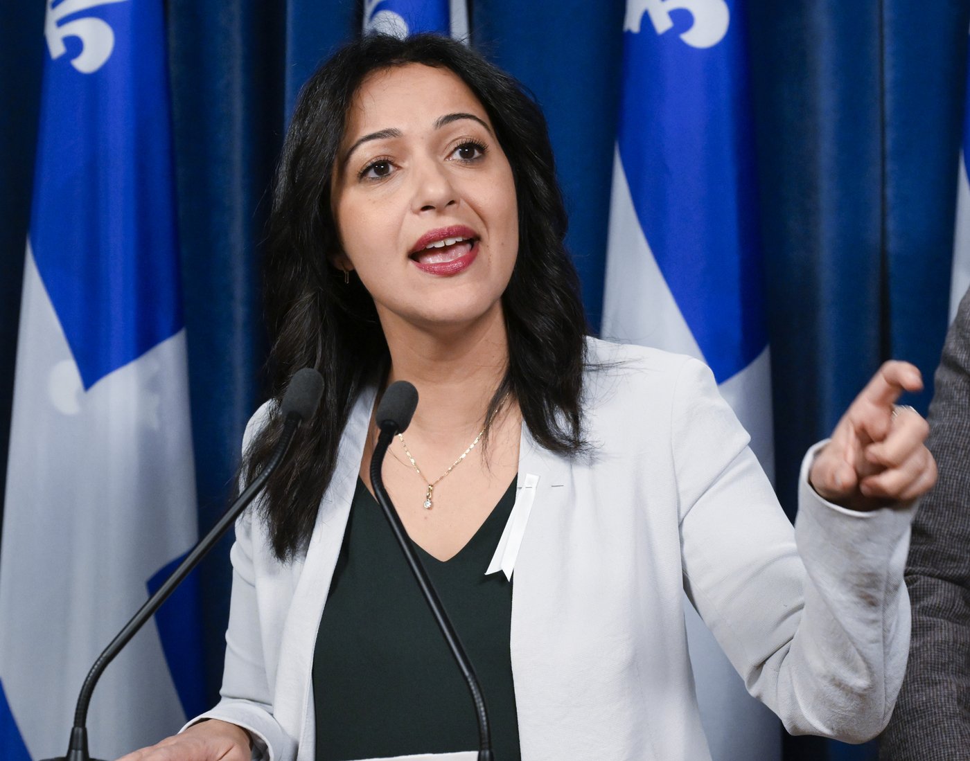 En immigration, «il y a deux tendances que je veux combattre», dit Ruba Ghazal