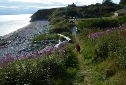 Avertissements de pluie et de vents en Gaspésie et dans le Bas-Saint-Laurent