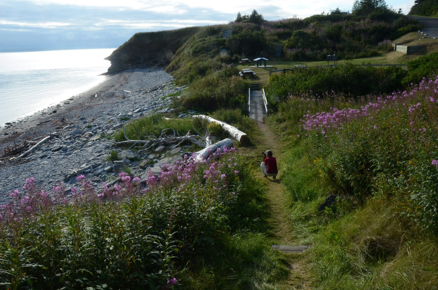 Avertissements de pluie et de vents en Gaspésie et dans le Bas-Saint-Laurent