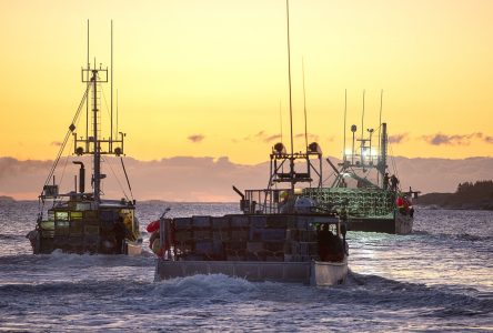 Des agents fédéraux des pêches refusent d’appliquer la loi en raison du danger