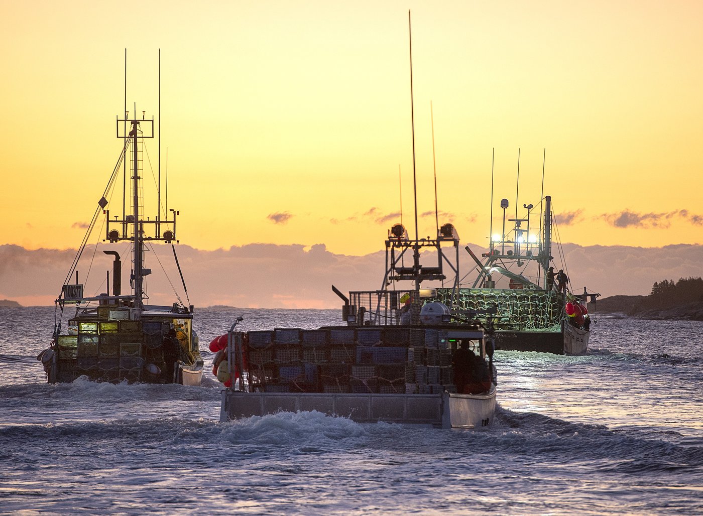 Des agents fédéraux des pêches refusent d’appliquer la loi en raison du danger