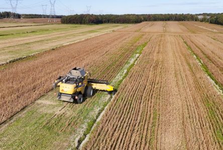 Les agricultrices du Québec sont aux prises avec une surcharge mentale