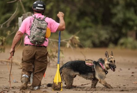 Aux États-Unis, le bilan de l’ouragan Hélène dépasse désormais les 160 morts