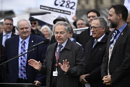 Gestion de l’offre: des sénateurs demandent à leurs collègues d’accélérer le pas