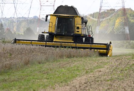 D’immenses superficies de terres agricoles sont abandonnées au profit des forêts