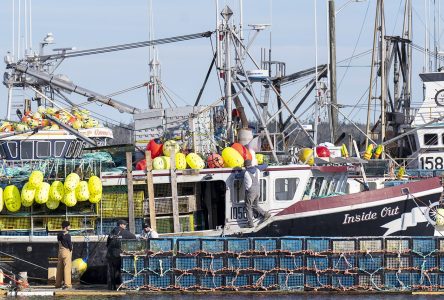 Pêches: une «tendance» à la violence envers les agents qui appliquent la loi observée