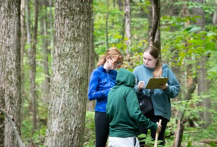 Une forêt-école pour les étudiants du Cégep