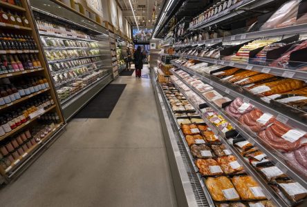 L’insécurité alimentaire a bondi en 2022, indique Statistique Canada